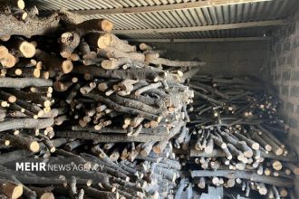 شناسایی و توقیف قاچاق چوب در روستای انگتارود