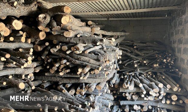 شناسایی و توقیف قاچاق چوب در روستای انگتارود