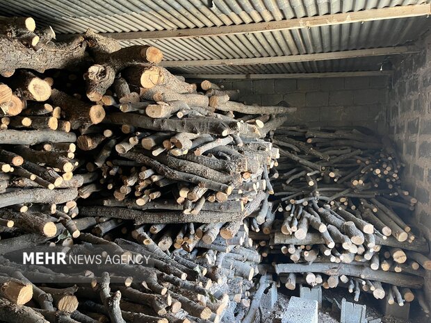 شناسایی و توقیف قاچاق چوب در روستای انگتارود