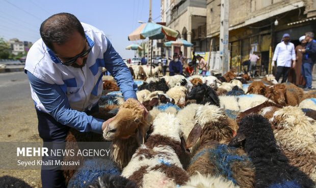 اجرای پایش بیماری سل و بروسلوز در مناطق روستایی و صنعتی شهرستان دنا