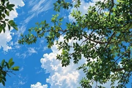 ناپایداری جوی و بارش‌های پراکنده تا اوایل هفته آینده در مازندران