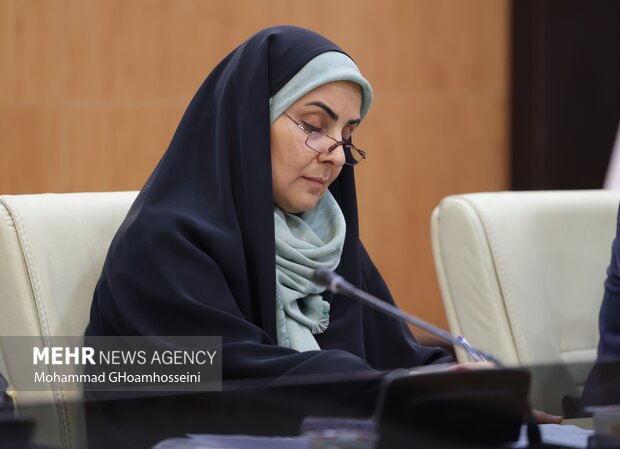 مشارکت بخش خصوصی در حمل ونقل ریلی