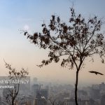 هوای تهران آلوده و در وضعیت نارنجی است