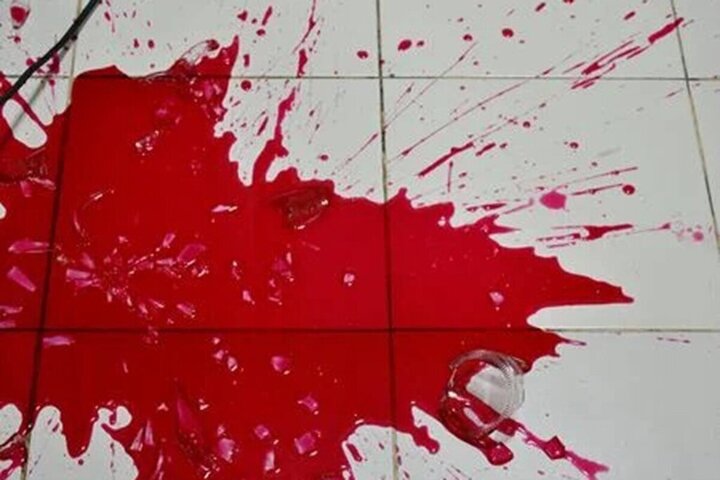 کشف قتل در وفس و دستگیری سه متهم توسط پلیس کمیجان