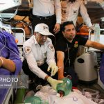 حادثه مرگبار برای خودروی حامل دانش‌آموزان در دزفول