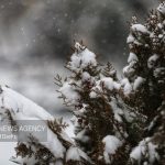 مدیرکل هواشناسی تهران بارش برف و باران در نیمه شمالی استان ادامه دارد