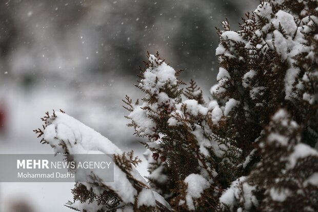 مدیرکل هواشناسی تهران بارش برف و باران در نیمه شمالی استان ادامه دارد